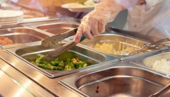 Photo d'un agent de restauration